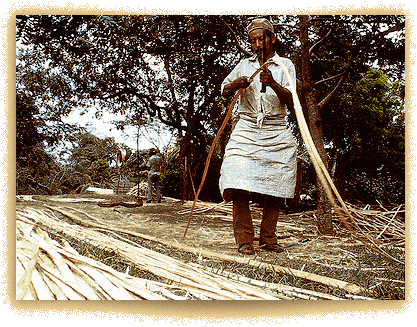 guy cleaning rattan with a knife