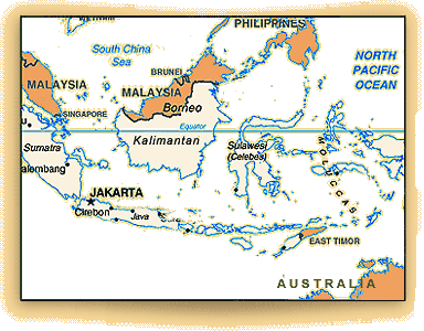 Borneo Deforestation Map