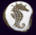 Seahorse