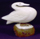 Swan