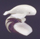 Whale