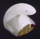 Whale